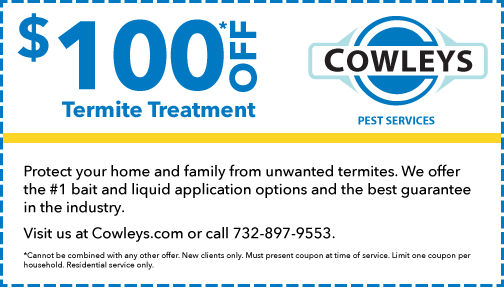 $100* OFF Termite Treatment